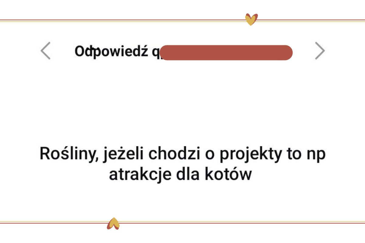 Wpis "Kociostrada" to odpowiedź na Wasze "Pytanie o projektowanie", które co poniedziałek możecie zadać na moim Instagramie i Facebooku